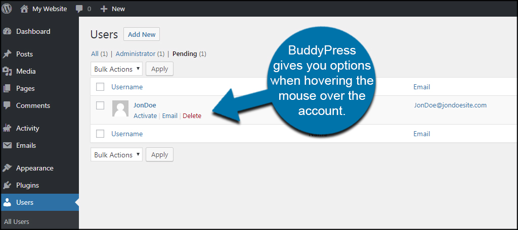 BuddyPress Options