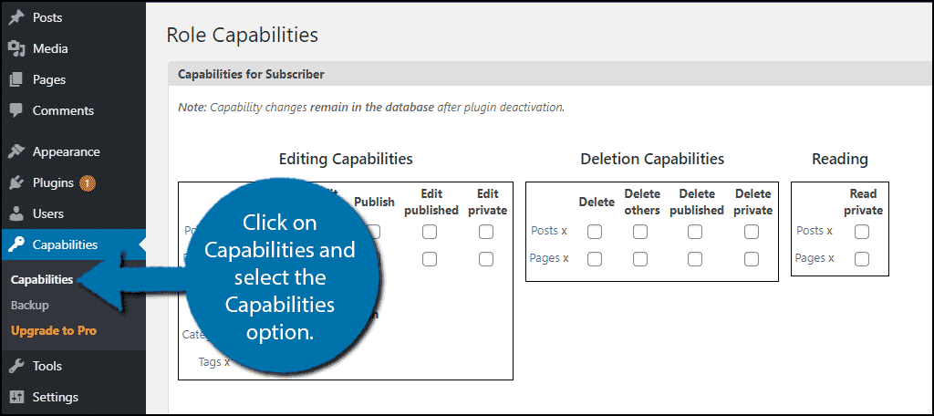 Capacidades