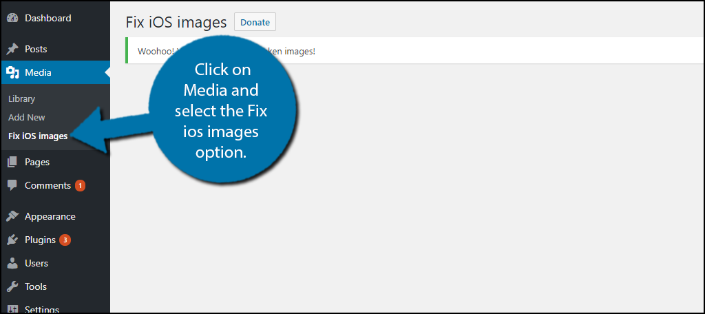 click on Media and select the Fix ios images option.