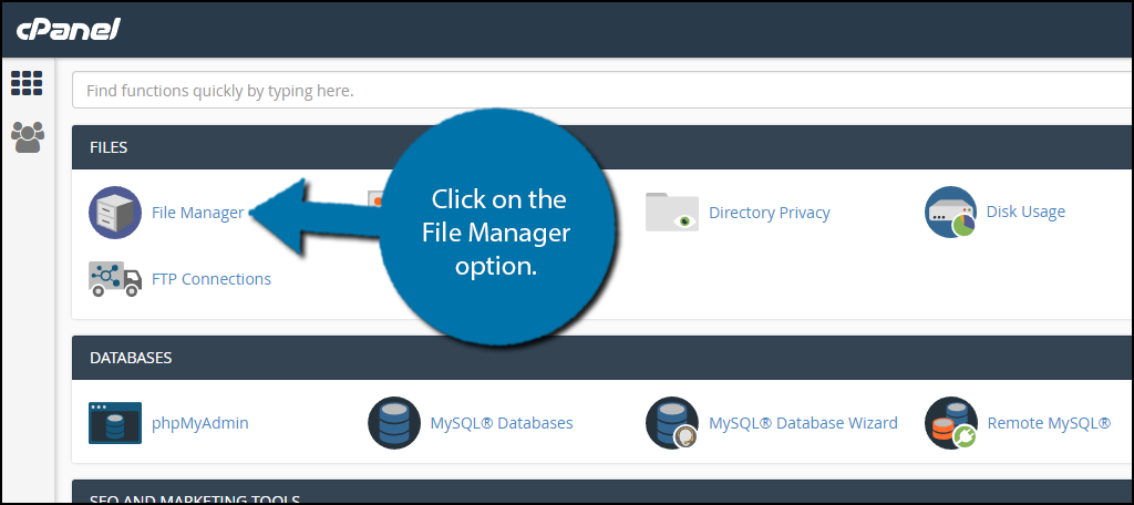 Click on the File Manager option