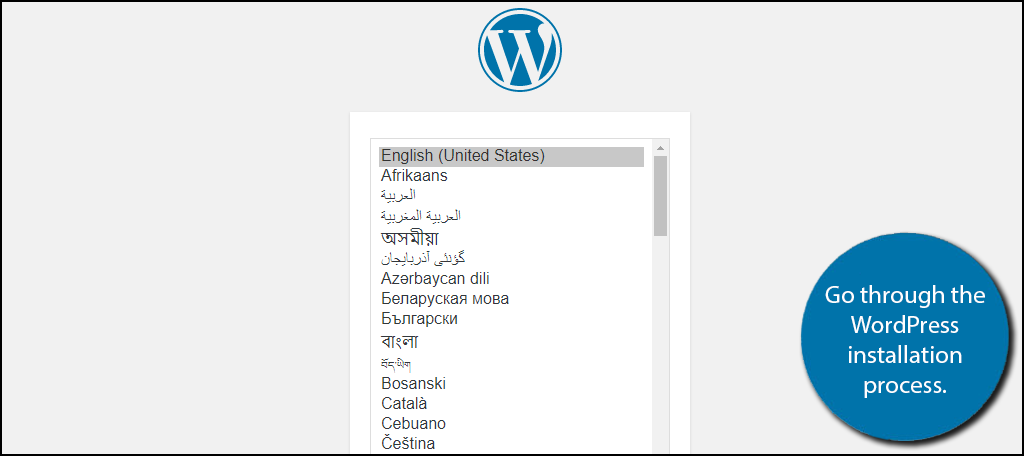 Go through the WordPress installation process.