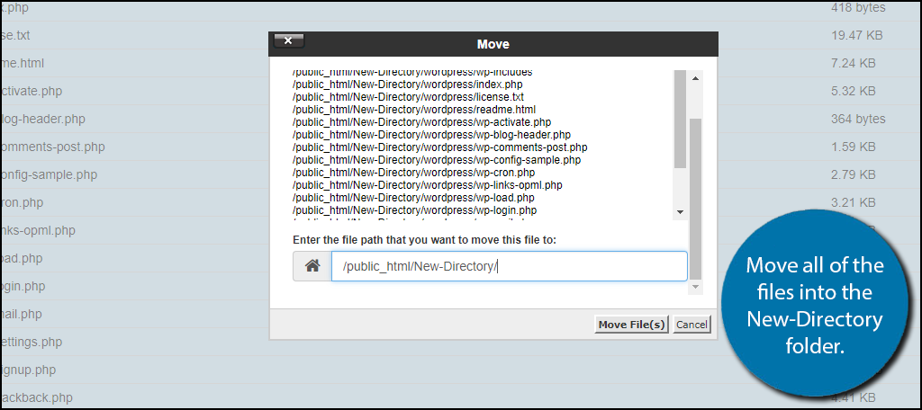 Move all of the files into the New-Directory folder.