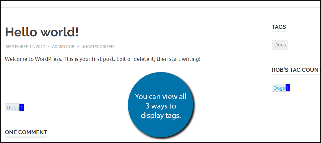 You can view all 3 ways to display tags.