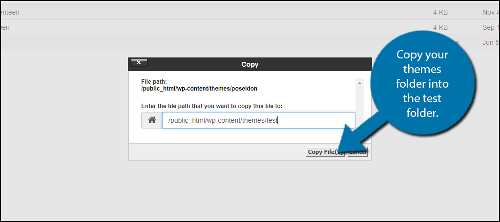 Copy your themes folder into the test folder.