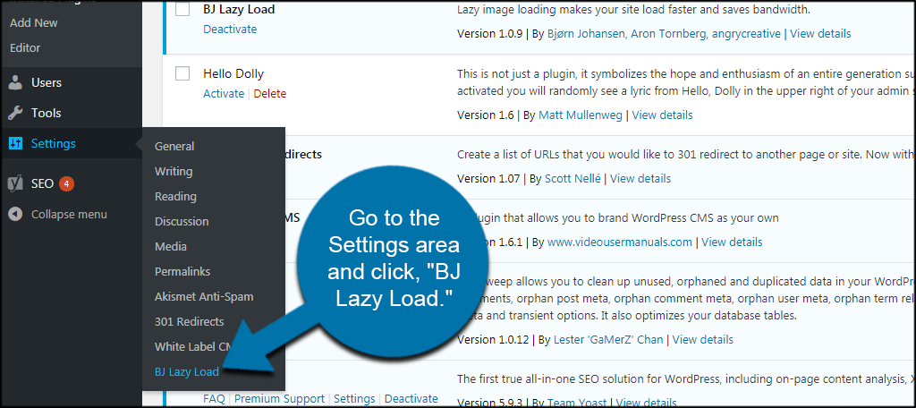 BJ Lazy Load Settings