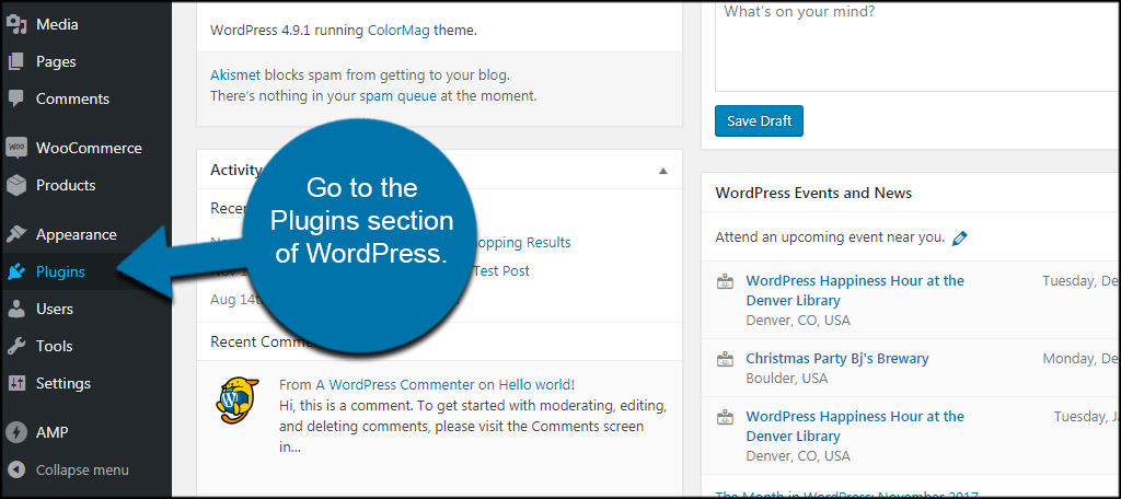 Amp on sale for wp