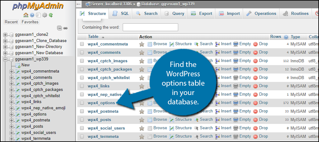 Edit the WordPress options table to fix the another update in progress error