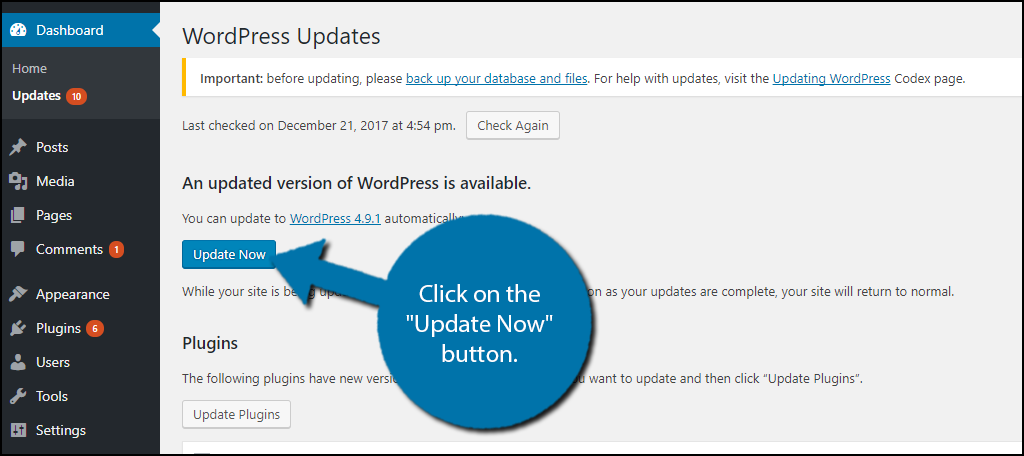 Update WordPress Plugins