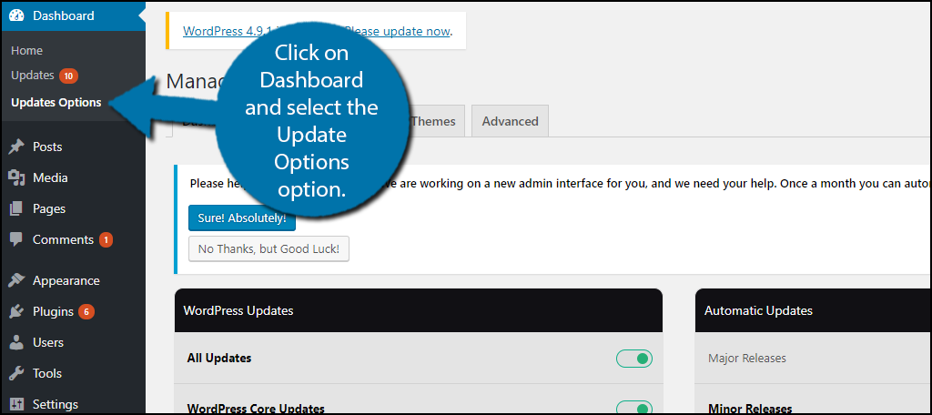 click on Dashboard and select the Update Options option.