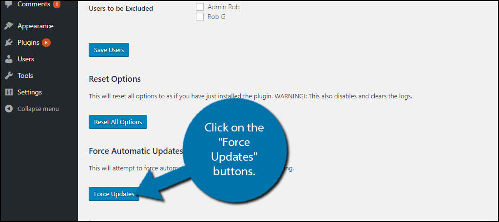 Force Plugin Updates