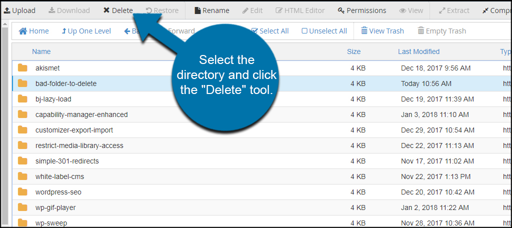 Delete Directory