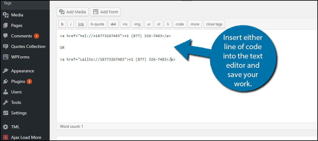 Insert either line of code into the text editor and save your work.