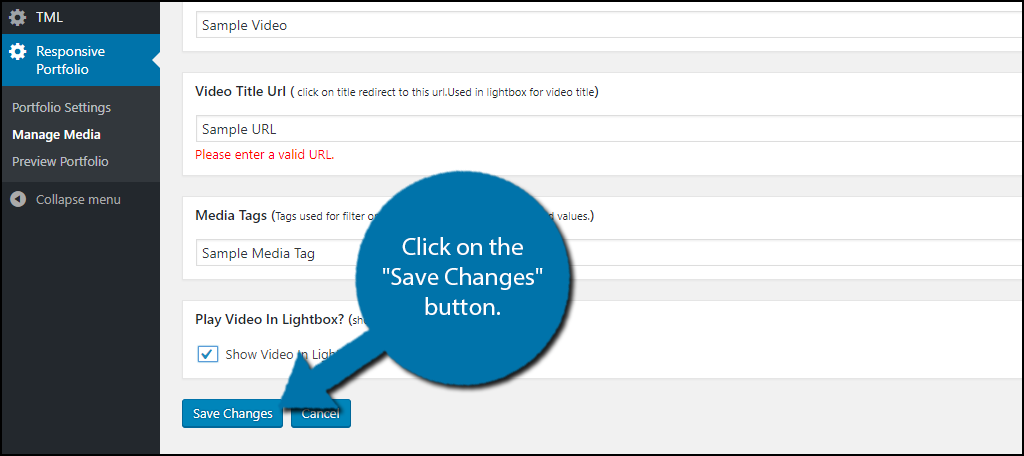  Click on the "Save Changes" button