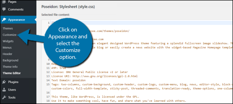 How to Add JavaScript and CSS to WordPress - GreenGeeks