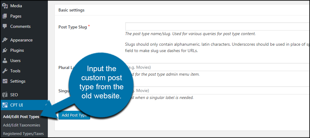 Input Post Type