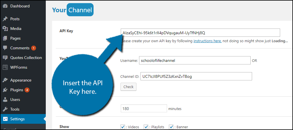 insert your YouTube API key