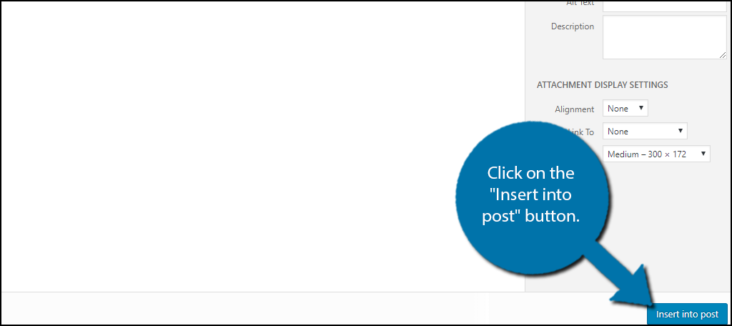 Click on the "Insert into post" button.
