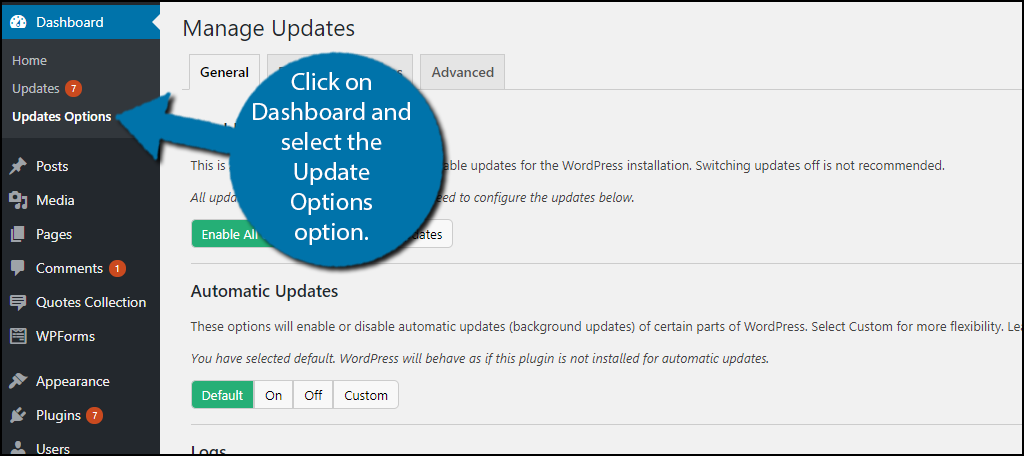 click on Dashboard and select the Update Options option. 