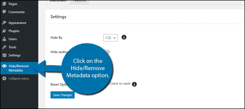 Hide/Remove Metadata