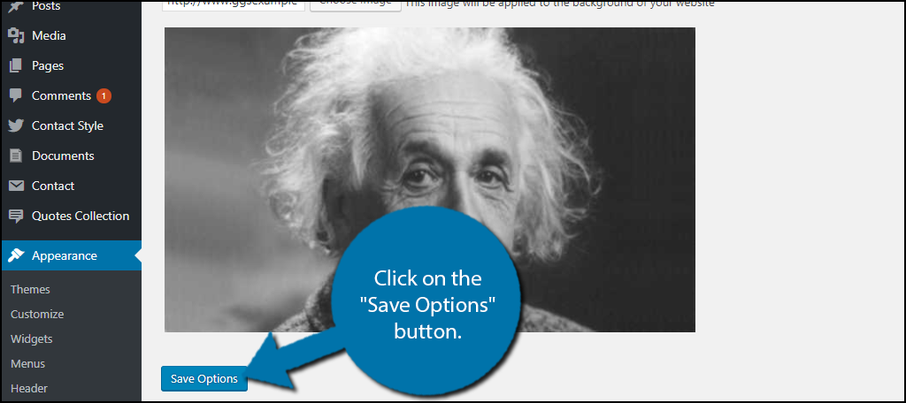 Click on the "Save Options" button.