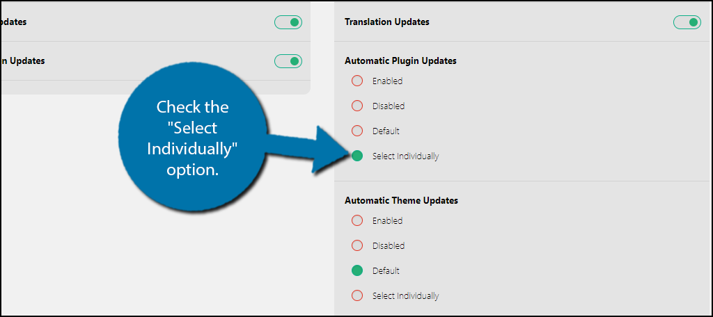 Select Automatic Plugin Updates