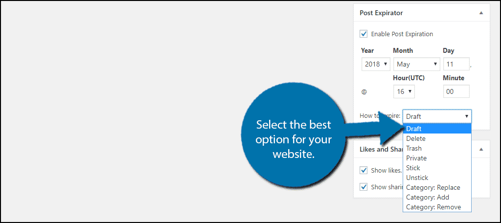 Select the best option for your website.