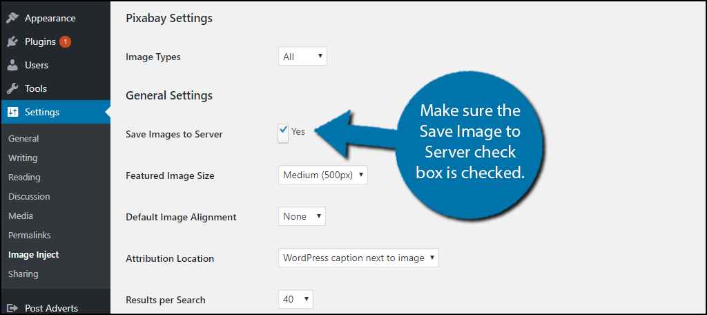 Make sure the Save Image to Server check box is checked.