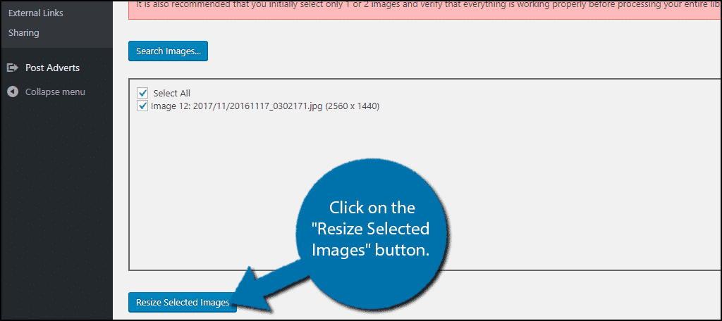 单击 "调整所选图像的大小" 按钮。
