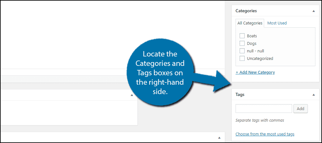 Locate the Categories and Tags boxes.