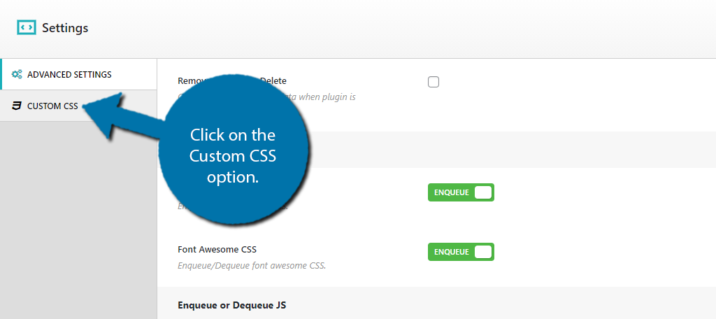 Custom CSS