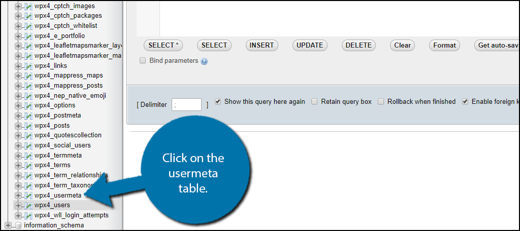 Click on the usermeta table.