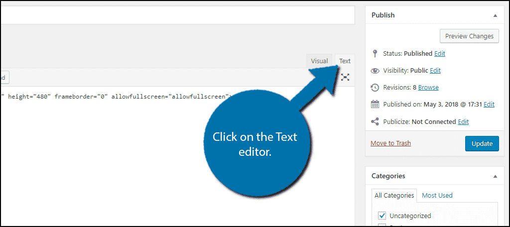 Click on the Text editor.