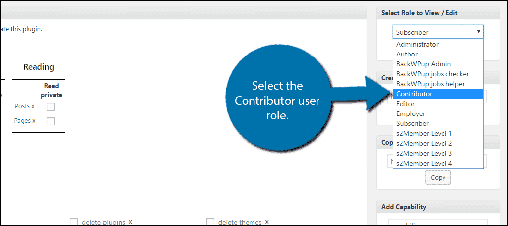 Select the Contributor user role.