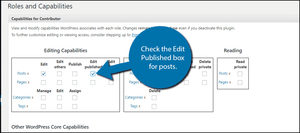 Check the Edit Published box for posts.