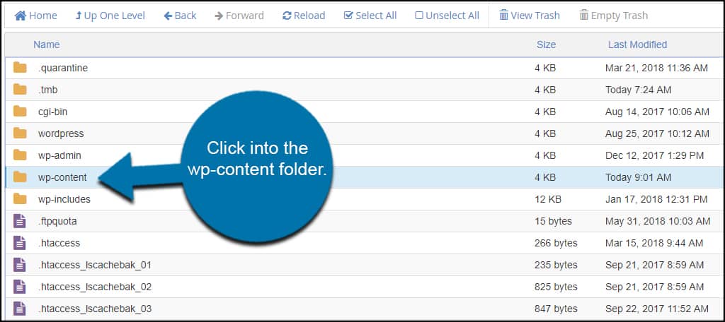 How to Quickly Download the Media Library from WordPress - GreenGeeks
