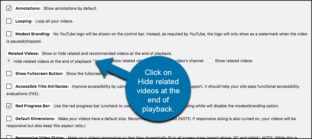 Click on hide related youtube videos button