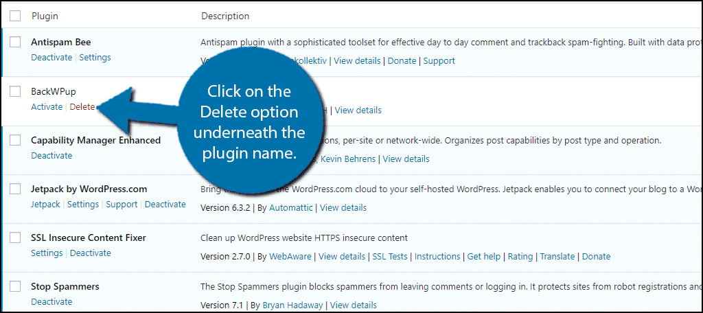 Click on the Delete option to delete the plugin.