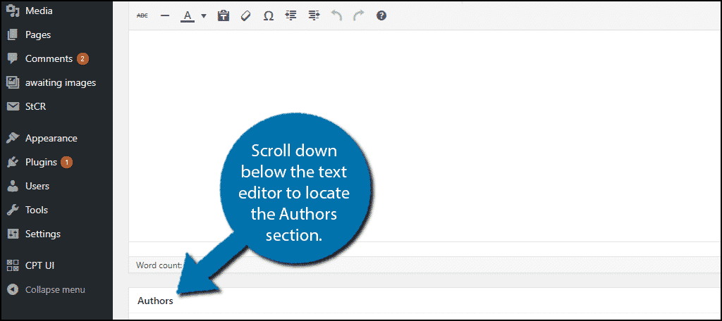 Scroll down below the text editor to locate the Authors section.