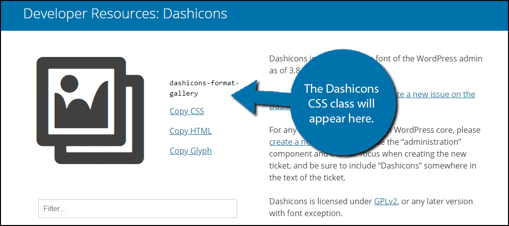 The Dashicons CSS class will appear next to it.