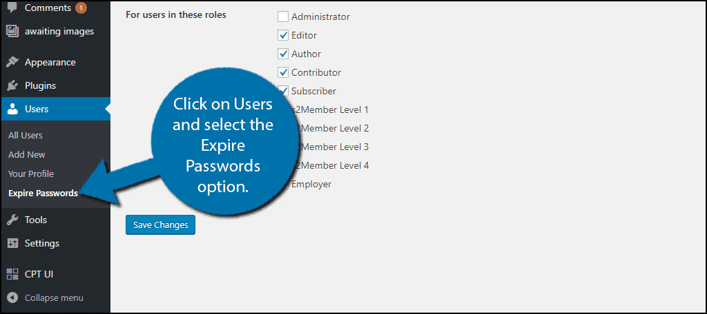 Click on Users and select the Expire Passwords option.