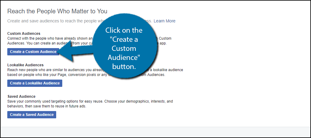 Haga clic en el botón "Crear una audiencia personalizada".