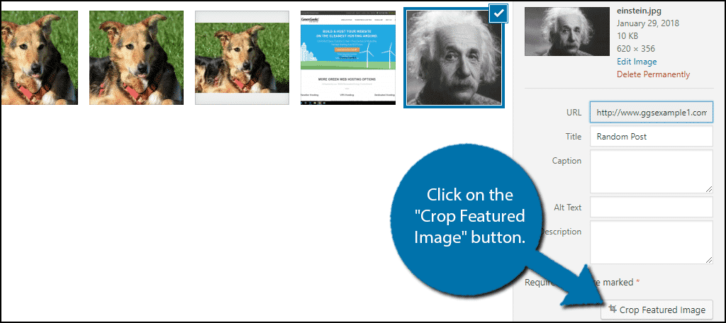 Click on the "Crop Featured Image" button.