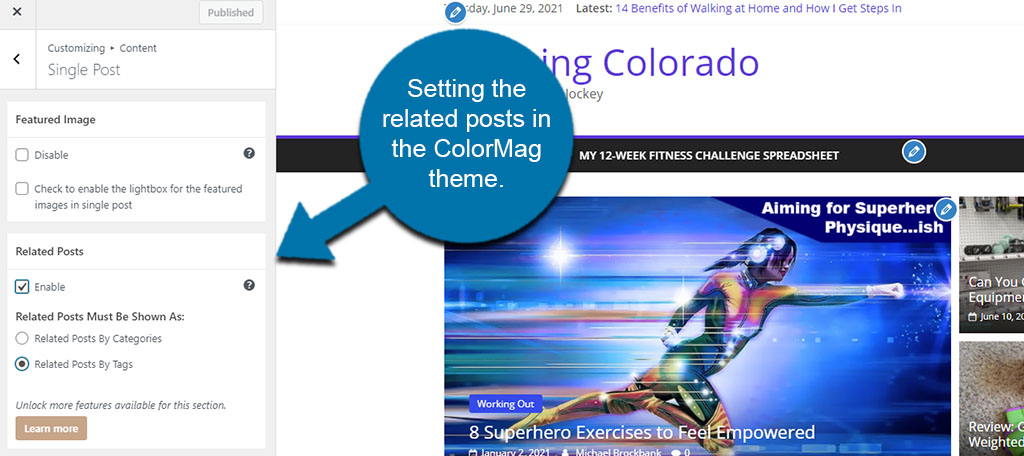 Related Posts in ColorMag