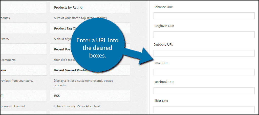 Add social media URLS to display their icons