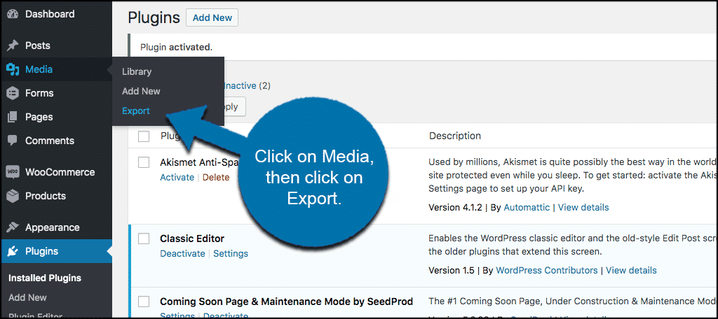 Click media then export