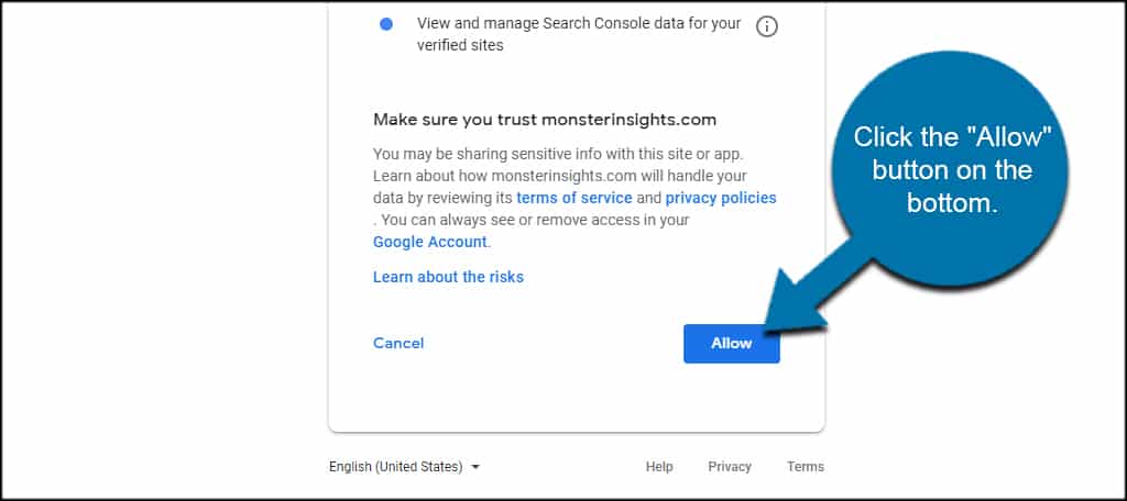 Allow MonsterInsights