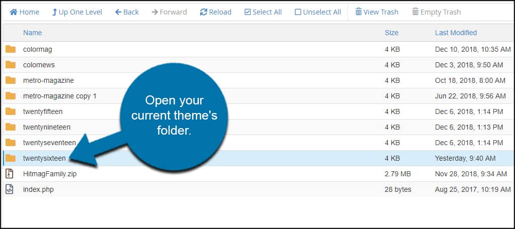 Current Theme Folder