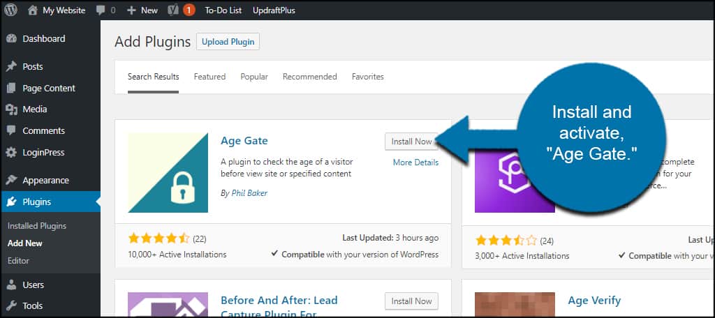 Install Age Gate to Verify User Age in WordPress