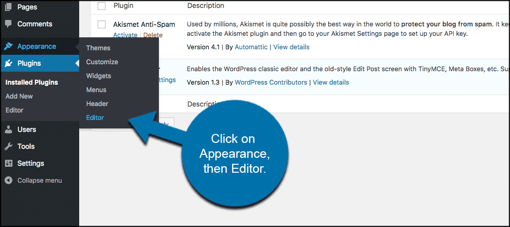 Click on appearance then editor to access functions.php file