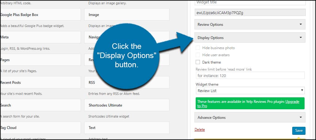 Click Display Options